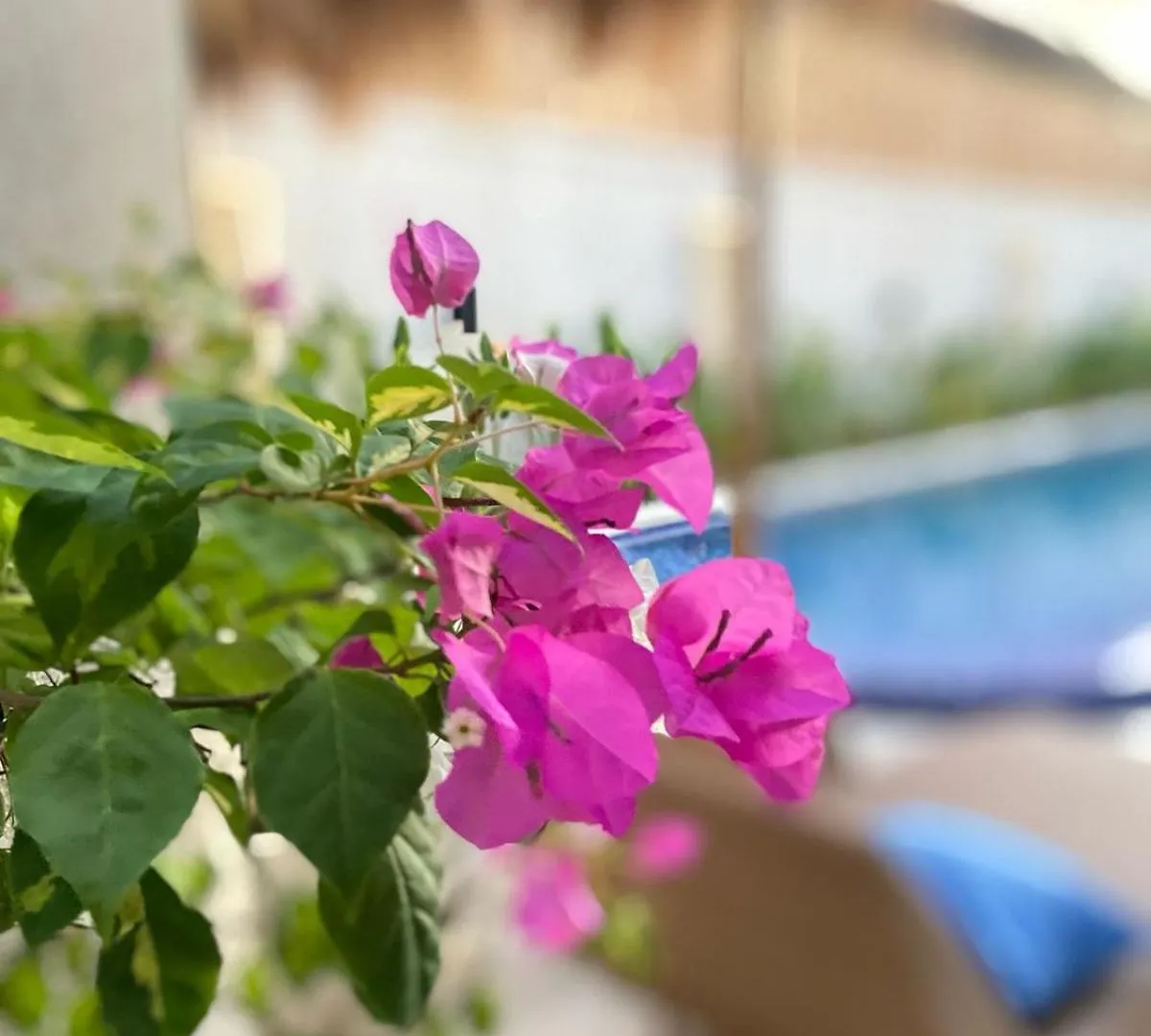 Santai Suites Nusa Dua