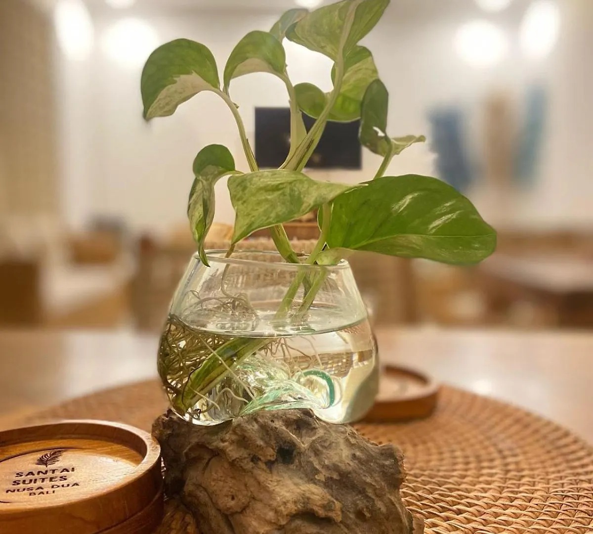 Santai Suites Nusa Dua 4*, Nusa Dua (Bali) Indonésie